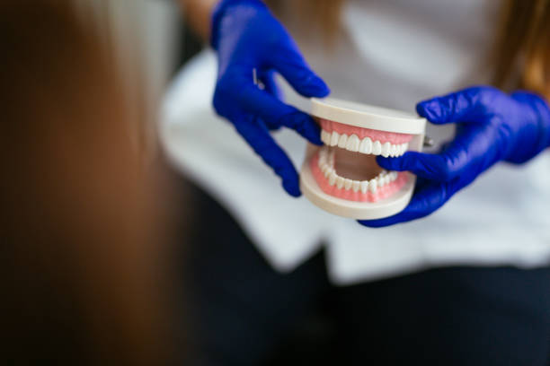 Professional  Holistic Dental Services in Hercules, CA
